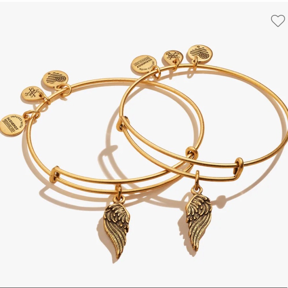 Alex + Ani - Wings Charm Bangle